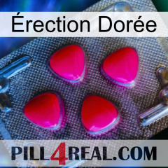Érection Dorée 13